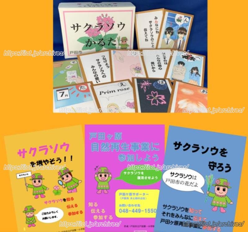 6年生PBLの成果物。サクラソウかるたと、「toco(トコ)バス」に掲示されたポスター。 6年生PBLの成果物。サクラソウかるたと、「toco(トコ)バス」に掲示されたポスター。