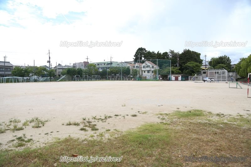 広々とした運動場