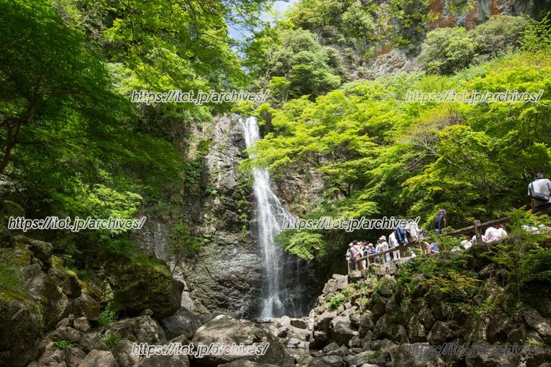 日本の滝百選に選ばれている箕面大滝