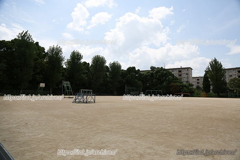 のびのびと遊べる広い校庭