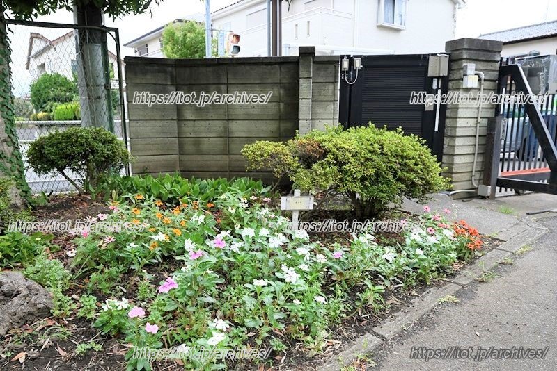 明るい雰囲気で迎えてくれる校門の花壇