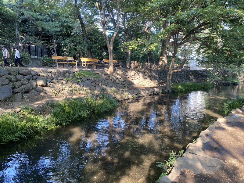「神田川」（井の頭恩賜公園付近）