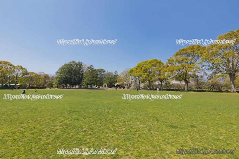 子育てファミリーに親しまれている「平塚市総合公園」