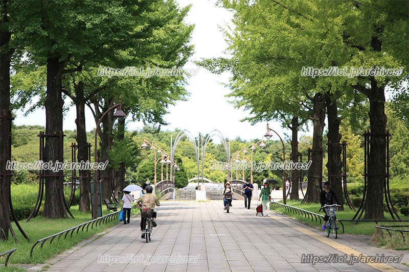 光が丘公園の様子