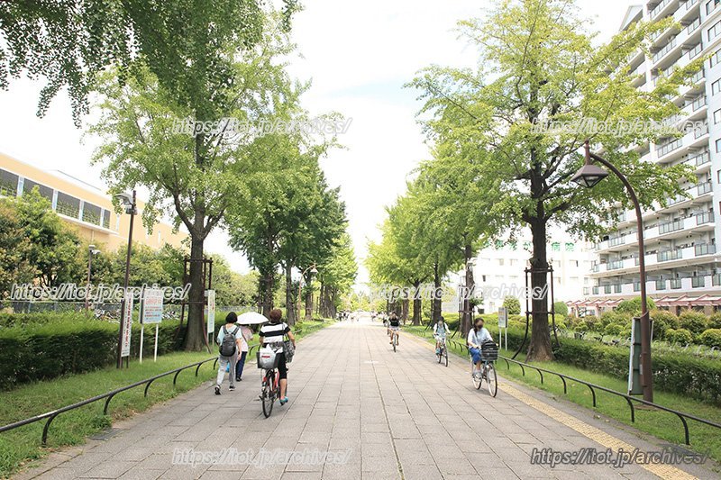 暮らしのすぐそばで緑が感じられるからこそ、地域住人の意識も自然と高まる