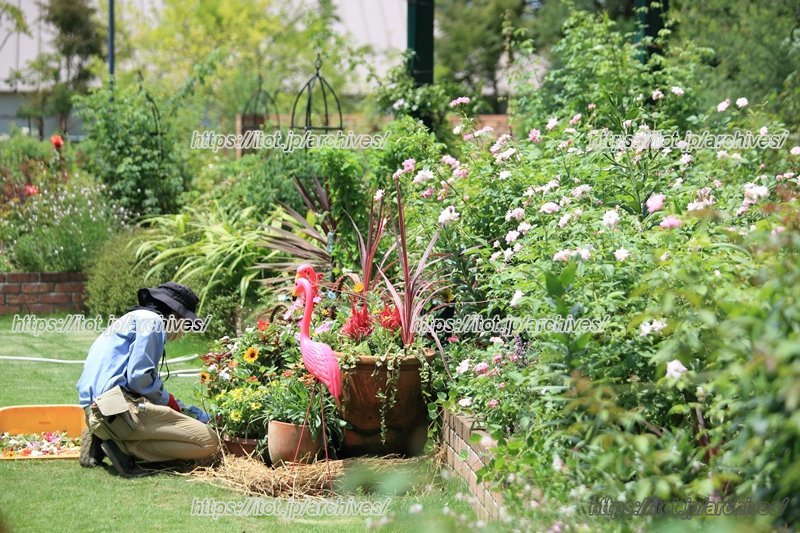 丁寧に整えられ、新たな人気スポットとなっている