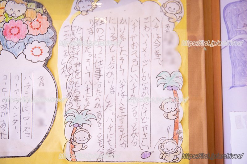 お店の壁には、ワークショップを受けた子ども達のお手紙が貼られています。