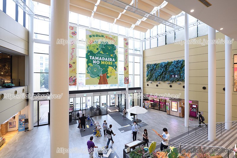 1階から見る「ベースフロア」