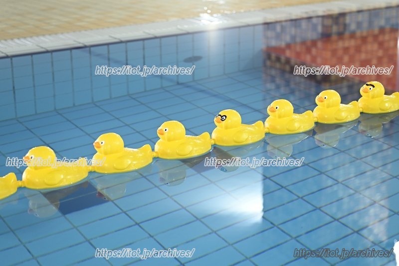 子ども向けの小さなプールも