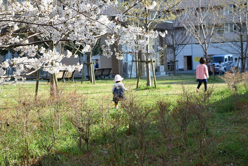 子育てしやすい町として支持を集める練馬区