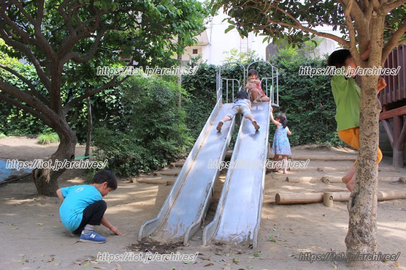 遊びと絵本と祈りを大切にする／麗和幼稚園（埼玉県）