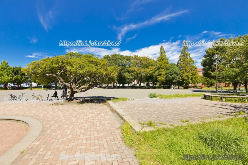 地域の方々と「南河原公園」で夏祭りなどを行う