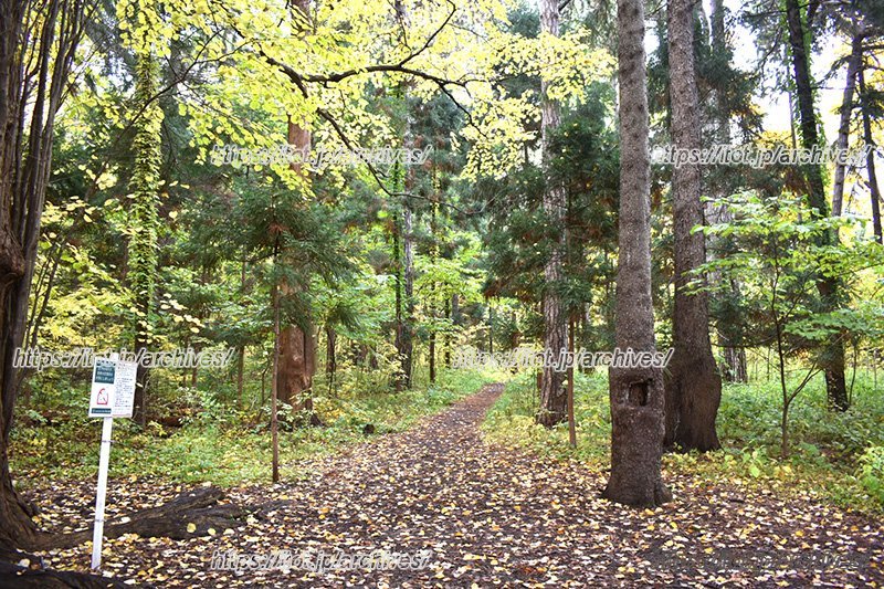 豊かな自然がすぐそばにある環境