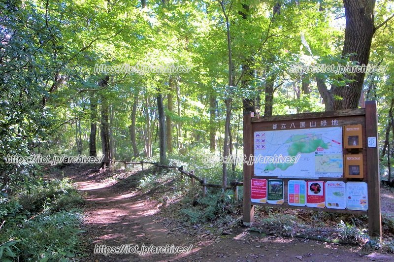 『となりのトトロ』のモデルになった「都立八国山緑地」など、豊かな自然環境が身近に