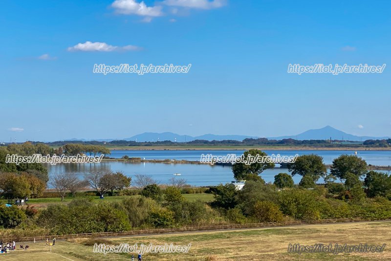 「渡良瀬遊水地」