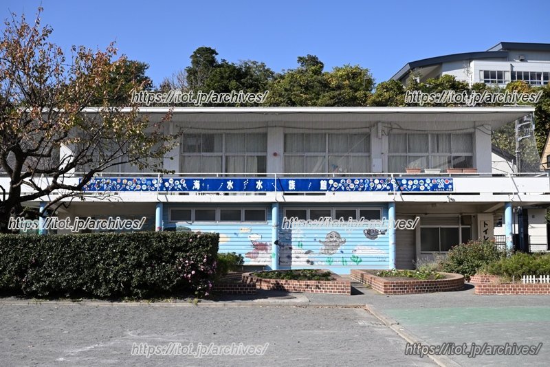 水族館がある校舎