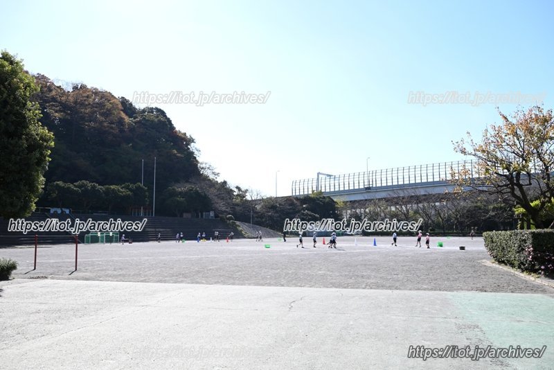 広々とした校庭でのびのび活動する子どもたち