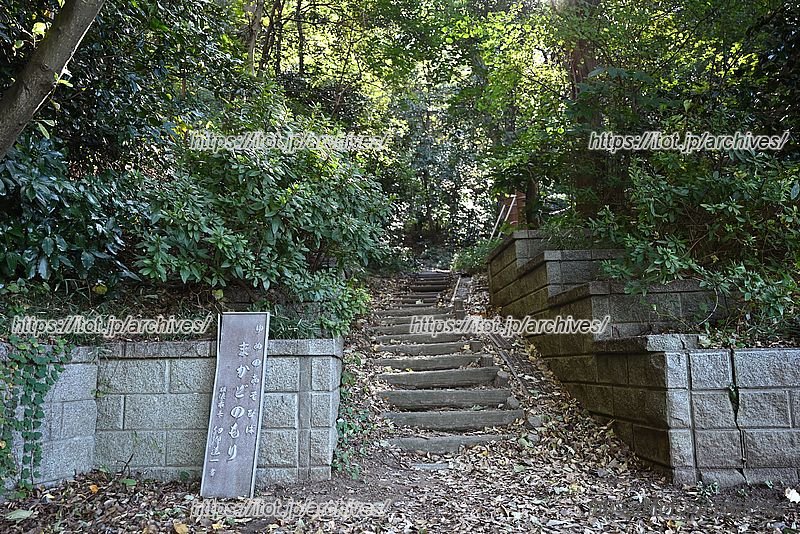 「まかどの森」入口
