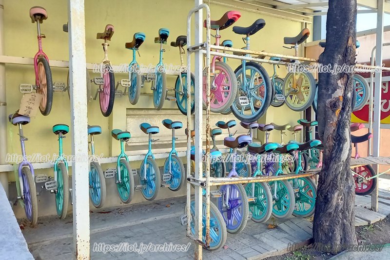 日頃の外遊びの中が、自然と体力づくりになる