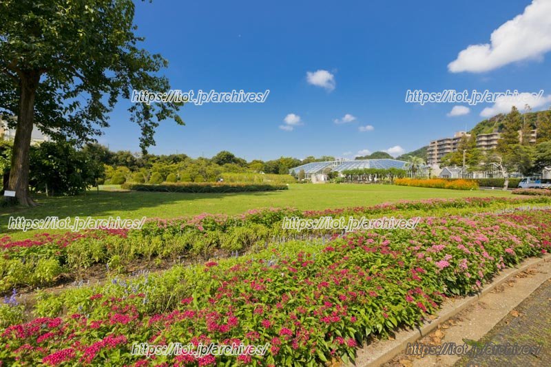 日比谷花壇大船フラワーセンター