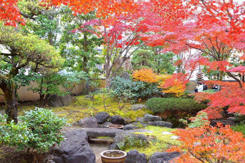 美しい自然に囲まれた「禅東院」