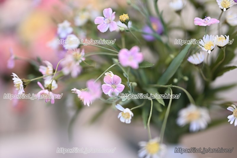 花、ひとつひとつの精細な表情の違いも楽しめる