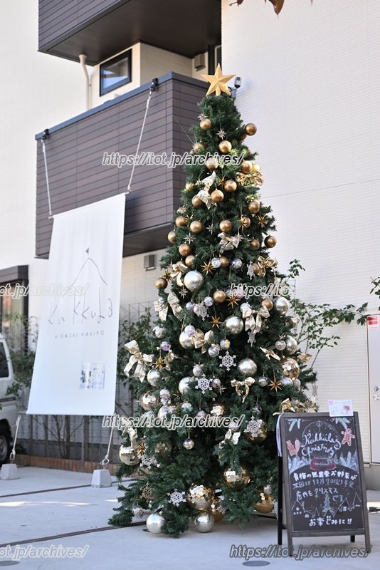 子どもたちの手作りの飾りも使用されたクリスマスツリー