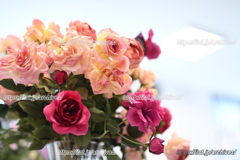 アートフラワーなら、花の最も好きな瞬間をいつでも楽しむことができる