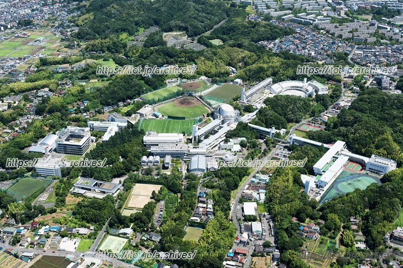 グラウンドやキャンパス、広大な敷地内の様子がわかる