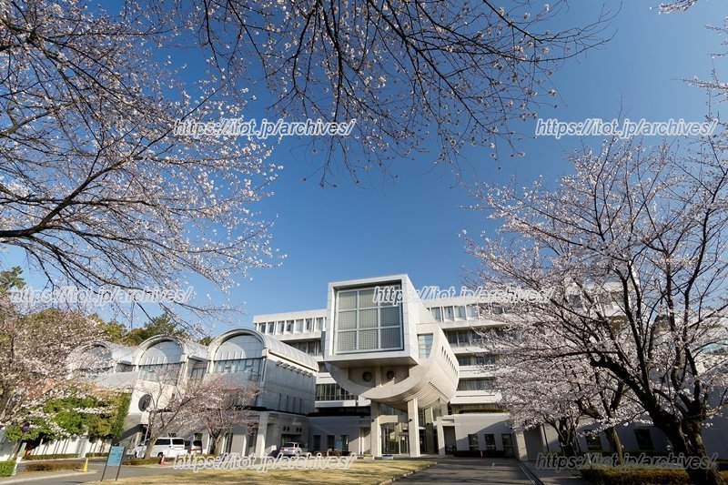 桐蔭学園から、多彩な人材が輩出されている