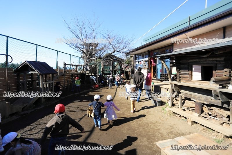 外遊びを楽しむ子ども達の様子