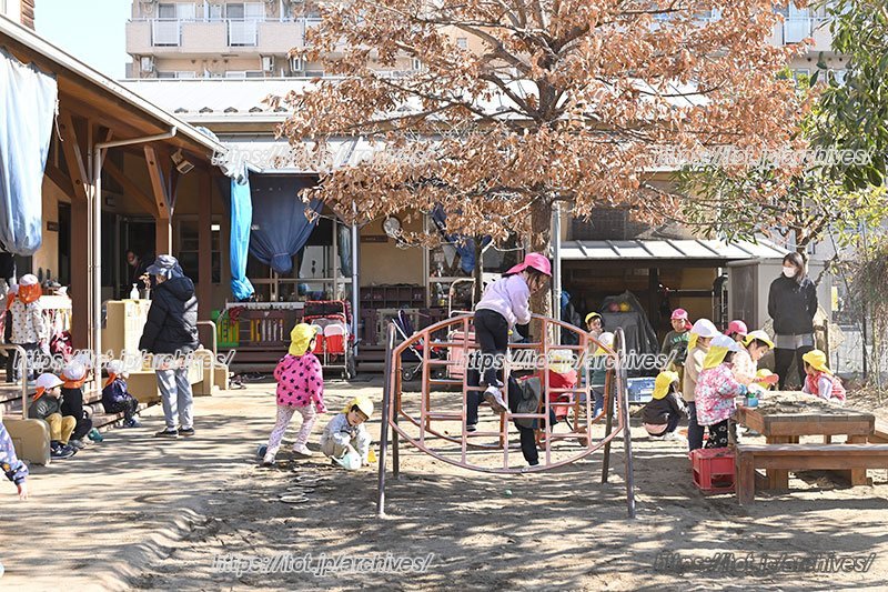 「集団」で過ごす時間の中で、子どもたちは様々な経験をする