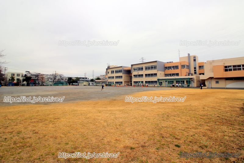 芝生もある、広々とした校庭