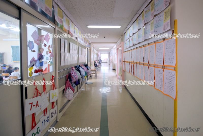 児童の作品が数多く展示された廊下