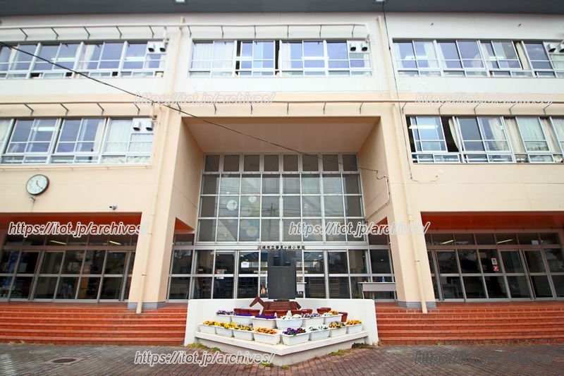 窓が大きく、昇降口には自然光がたっぷり降り注ぐ