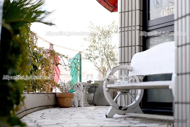 シーンに応じた楽しみ方に加えて、愛犬も一緒に楽しめる