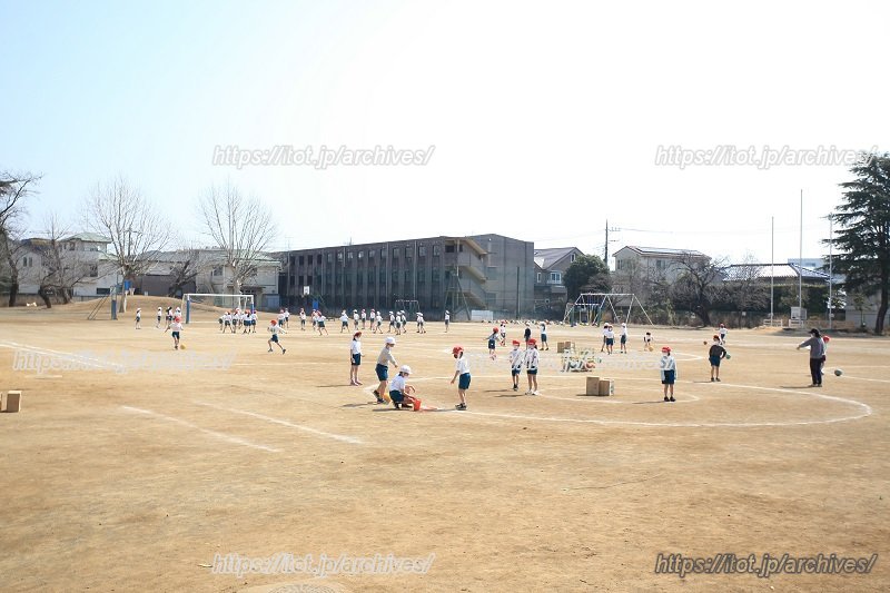 広々とした校庭