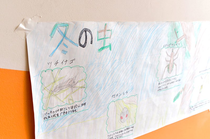 校内に飾られた子どもたちの作品