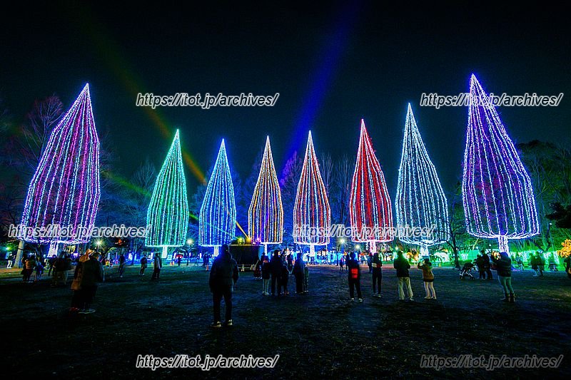 足立区の冬の風物詩「光の祭典」