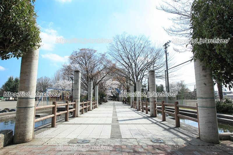 小学校と中学校の間を通るプロムナード