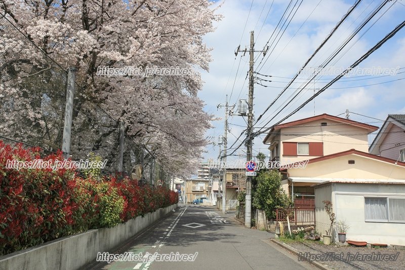 自然に恵まれ美しい環境の学校周辺の様子