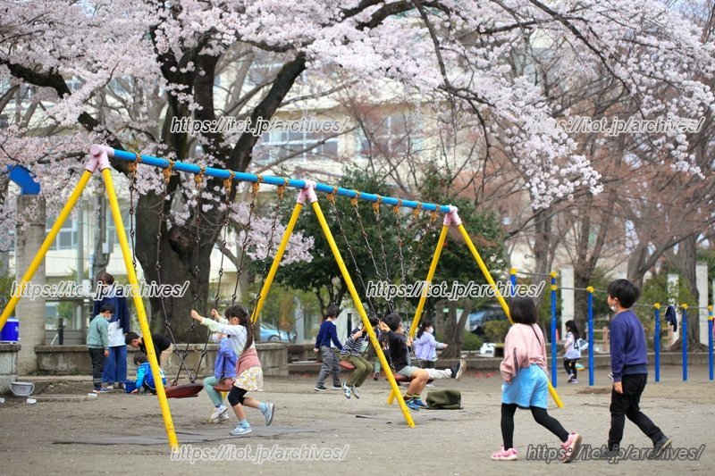 子どもが元気に遊びまわる校庭