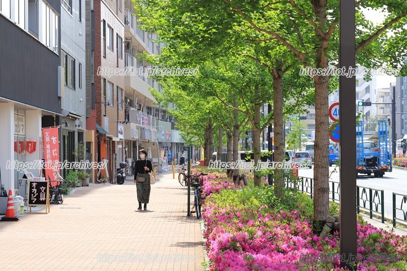 現在の街の色に、新たな賑わいや魅力の融合が期待される