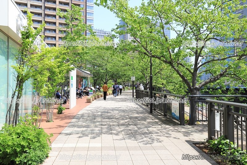 目黒川周辺は自然も豊か（写真は「五反田ふれあい水辺広場」付近）