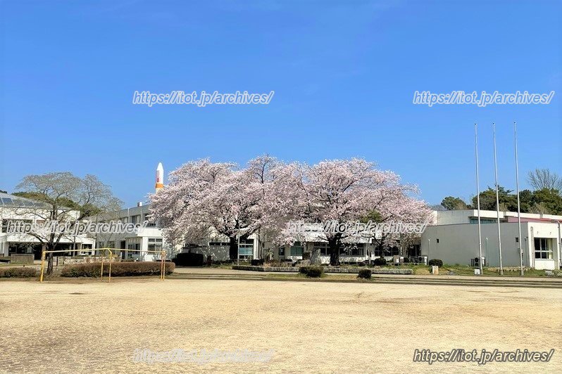 校舎の奥には「つくばエキスポセンター」のロケットが見える