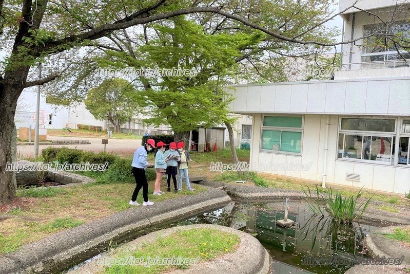 「ホタル池」でタブレットを使って生きもの観察