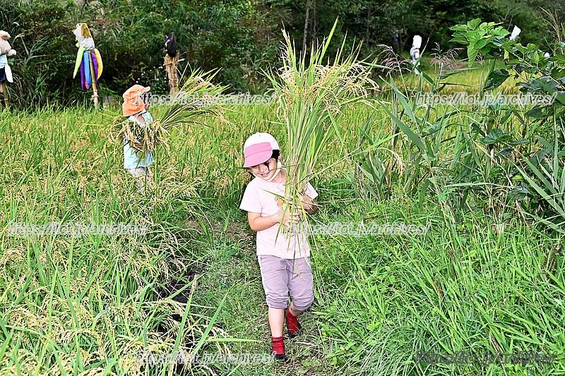 自然に親しみ感性を育む子どもたち