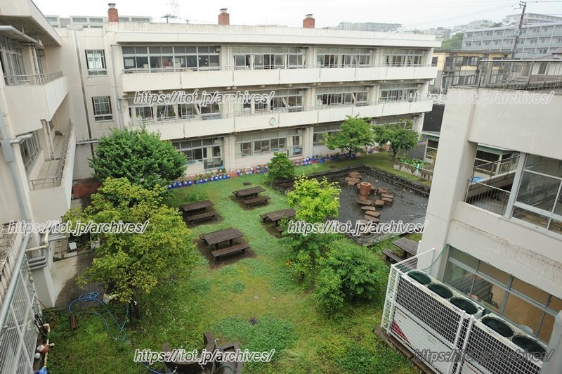 さまざまな果樹が植えられている中庭の様子