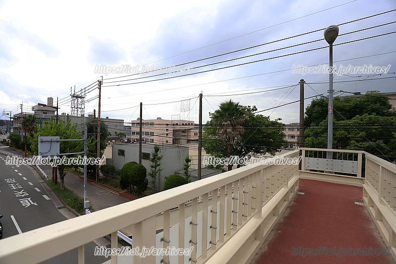 学校前の歩道橋から子どもたちの元気な姿が見える