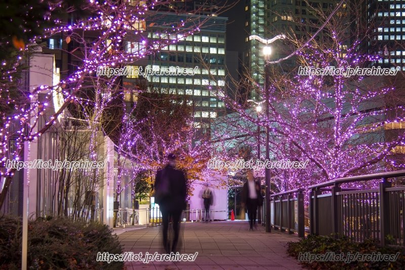 &ldquo;冬の桜&rdquo;として親しまれる「目黒川みんなのイルミネーション」